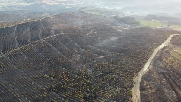 Çanakkale'de orman yangını kontrol altında: Yanan alanlar havadan görüntülendi-8