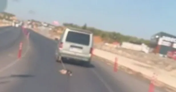 Gaziantep’te kan donduran görüntü: Köpeği arabaya bağlayıp sürükledi