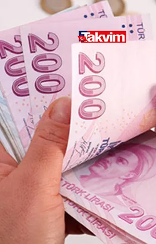 Pandemi 1100 TL destek başvurusu SONUÇ sorgulama! Turkiye.gov.tr pandemi destek sonucu öğrenme ekranı!