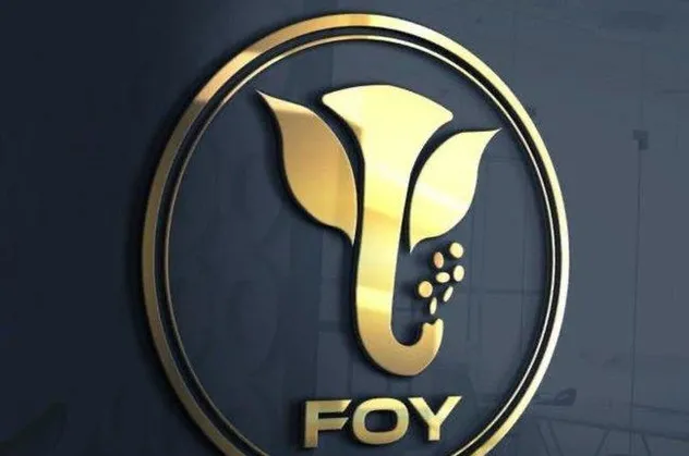 Gökhan Özbek, Çağlar Cilara, Kemal Özkiraz ve Levent Özeren'in para karşılığı Twitter'da parlattığı FOY Token battı