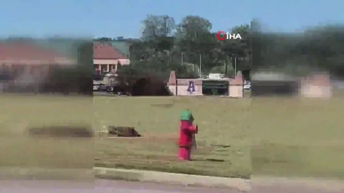 ABD'de lisede silahlı saldırı: 2 ölü, 4 yaralı