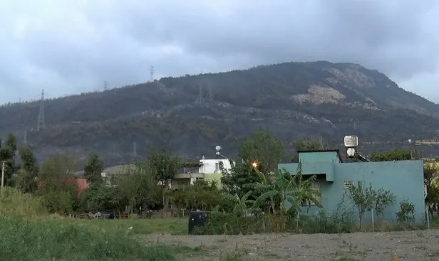 SON DAKİKA: Hatay'daki yangının 'kundaklama' sonucu çıktığını iddia eden kadın: Sözlerimin arkasındayım-3