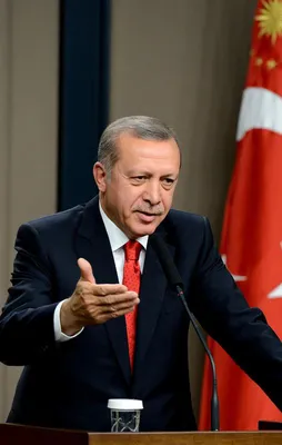 Türkiye'yi şaha kaldıran lider: Erdoğan