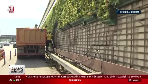 CHP'li İBB'den tepki çeken karar! Peyzajlar bir bir kaldırılıyor