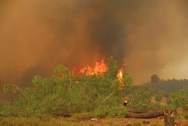 yangin-bolgelerinde-hava-durumu-nasil-olacak-meteoroloji-uzmani-a-haber-canli-yayinda-acikladi-3-gun-boyunca-surecek-1627915540929.jpeg