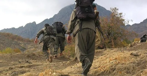 Terör örgütü PKK’nın öğrencileri dağa kaçırma yöntemi deşifre oldu! Finans ağı: Ronak