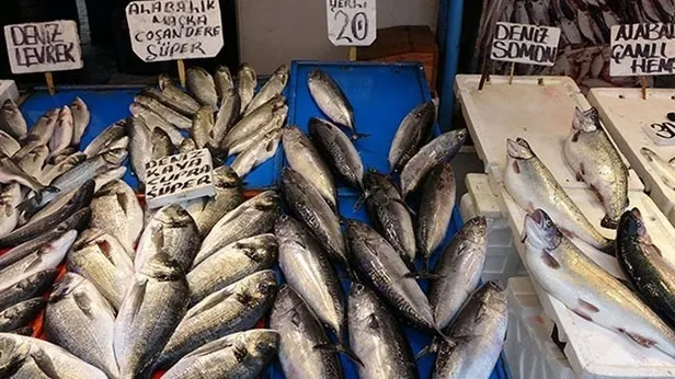 hangi-balik-ne-zaman-yenir-tekir-kefal-lufer-hamsi-cipura-mezgit-palamut-balik-turleri-ve-en-lezzetli-zamanlari-1603031350100.jpg