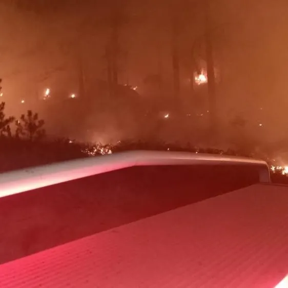 Muğla’da orman yangı çıktı