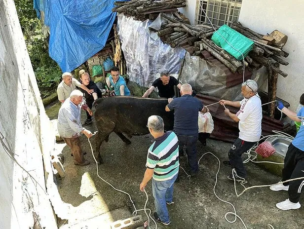 ortalik-karisti-kacan-kurbanliklar-vatandaslara-zor-anlar-yasatti-1687943674380.jpeg Ortalık karıştı: Kaçan kurbanlıklar vatandaşlara zor anlar yaşattı-6
