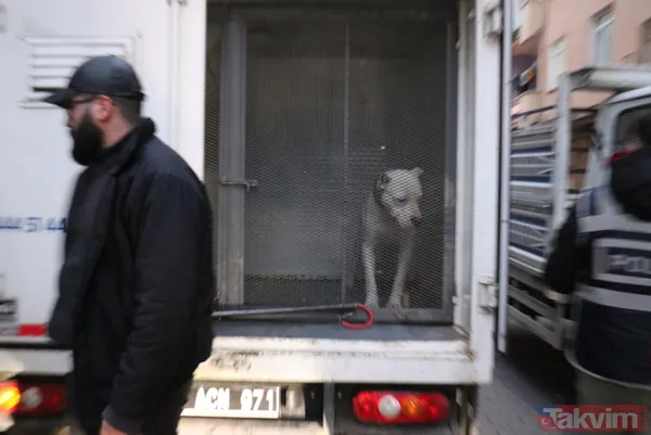 Malatya'da 'pitbull'lu dehşet! Kavga ettiği kişilerin üzerine köpeği saldı: 3 yaralı - 12