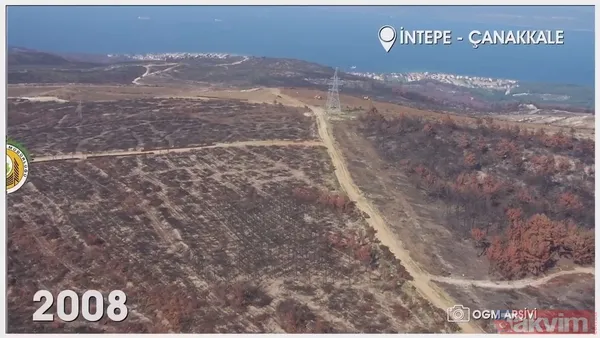 Orman Genel Müdürlüğü paylaştı! İşte yanan ormanların eski ve yeni hali: İzmir, Muğla, Çanakkale ve Balıkesir... - 7