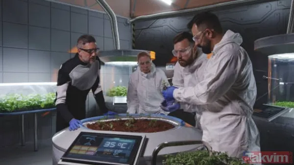 Ay’da tarım başlıyor mu? Bilim insanları Ay toprağında nohut yetiştirdi - 2