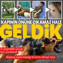 Başıboş köpekler Sivas’ta dehşet saçtı! 13 yaşındaki küçük çocuk canını zor kurtardı: Hastaneye kaldırıldı