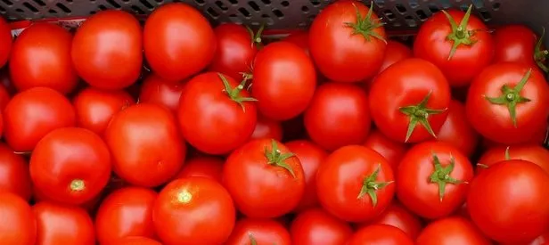 Tkaçev: Türkiye’den kış-ilkbahar döneminde domates alabiliriz