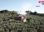 Bursa'da hayvan çitliğinde yangın!