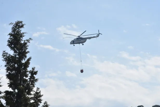 Son dakika haberi: Bodrum'da orman yangını-7