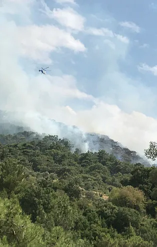 Son dakika haberi: Bodrum'da orman yangını