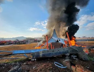 Güney Koredeki uçak kazası hakkında korkunç detay: 48 saatte 13 uçuş! Duvarın orada ne işi var?