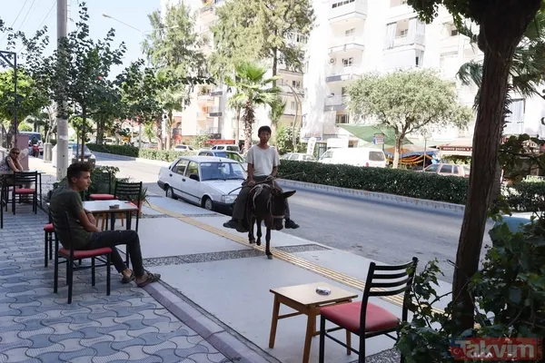 Günün en ilginç haberi: Japon turist Merzifon'dan aldığı eşekle Türkiye'yi gezdi - 20