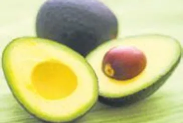 Kötü nefes düşmanı avokado böbrek dostu!