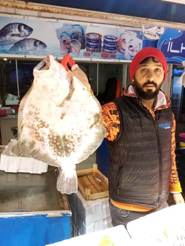 balikesir-bandirmadaki-balik-halinde-oltaya-takilan-kalkan-ve-deniz-levregi-900-liradan-satildi-1637673043499.jpg