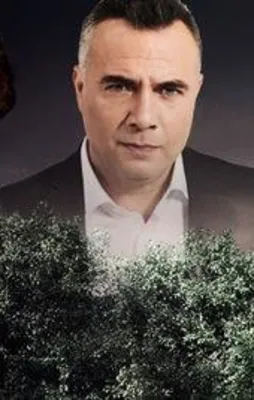 Dizi dizi başarı
