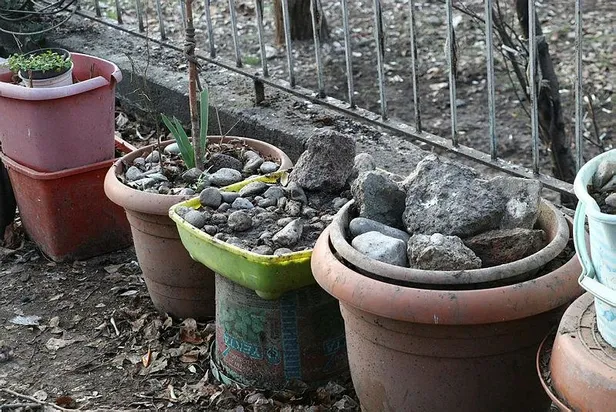 cop-evdeki-tuyler-urperten-gercek-olu-kedi-ve-kopekleri-saksiya-gomulmus-1641314026351.jpeg Çöp evdeki tüyler ürperten gerçek! Ölü kedi ve köpekleri saksıya gömülmüş...-4