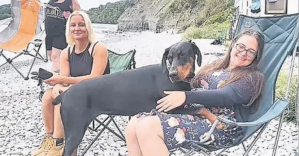 İngiltere'de film gibi olay! Böbrek hastası Lucy köpeği sayesinde Katie'nin verdiği organla hayata bağlandı