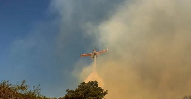 AB'den Yunanistan'daki yangınlar için korkutan açıklama: Rekor seviyede karbon emisyonu