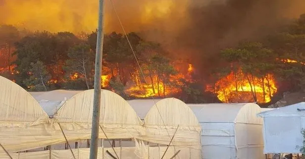 Antalya’da orman yangını sürüyor! Rüzgar yön değiştirdi, alevler yayıldı