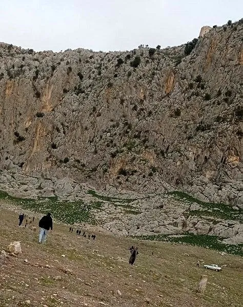 adanada-aci-olay-mahsur-kalan-koyunlarini-kurtarmak-isterken-ucurumdan-dusup-oldu-1643842543507.jpeg Adana'da acı olay: Mahsur kalan koyunlarını kurtarmak isterken uçurumdan düşüp öldü-1