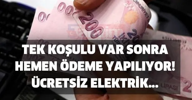 Tek koşulu var sonra hemen ödeme yapılıyor! Ücretsiz elektrik...
