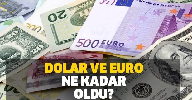 Dolar günü düşüşle kapattı! 22 Ocak canlı dolar ve euro fiyatı ne kadar oldu? İşte güncel döviz kurları