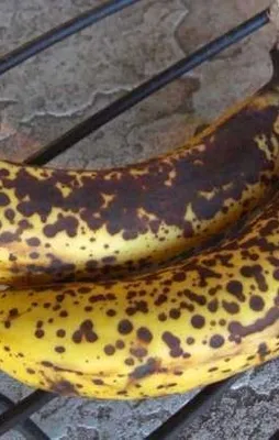 Beğenmeyip almıyorsunuz ama çok faydalı!