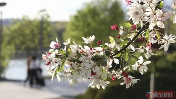 Kış bitiyor doğa uyanıyor! 3. cemre toprağa ne zaman düşecek? - 1