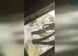 Muğla'daki orman yangınına acil müdahale