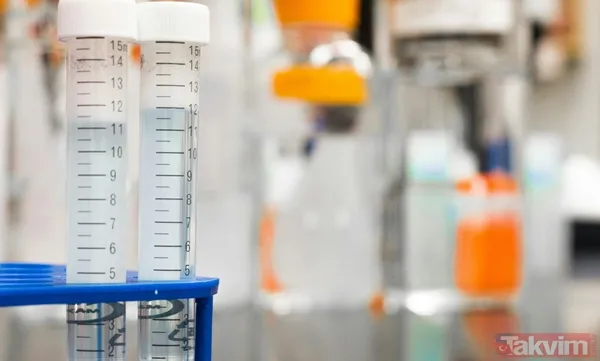 Beyindeki unutkanlık kilidi açıldı! Bilim açıkladı: Meğer hafızayı geri getiren şey... - 8