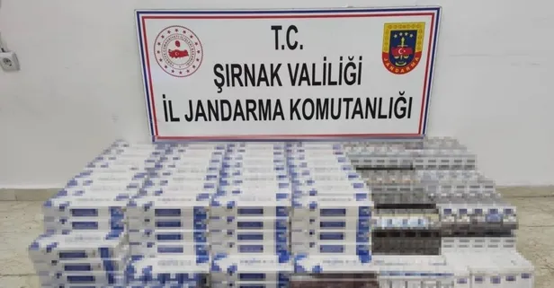 Son dakika: Şırnak’ta terör operasyonu! Çok sayıda uzun namlulu silah ele geçirildi: 87 gözaltı