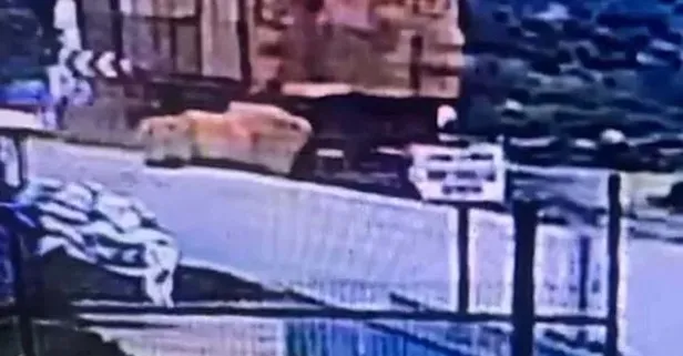 İzmir’de feci kaza: TIR'dan düşen saman balyaları can aldı