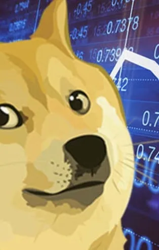 Parayı yatıran köşeyi döndü! Yükseliş durmuyor! Dogecoin kaç TL? Dogecoin fiyatları artacak mı? 9 Şubat 2021 Dogecoin fiyatı!