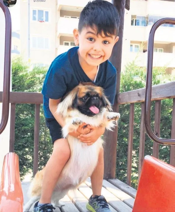 Kayıp keçiler, drone sayesinde bulundu (Yaşam haberleri)-12