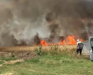 Tekirdağ’da 50 dönüm alan kül oldu