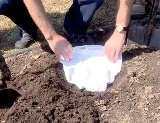 akdeniz anemisi belirtileri ve