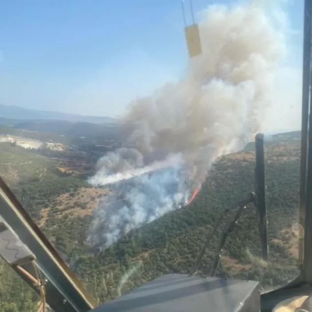 Balıkesir’de orman yangını