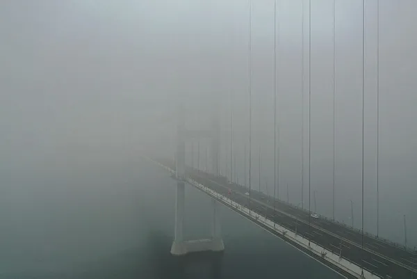 sis-altinda-kalan-osman-gazi-koprusunden-kartpostallik-manzaralar-1603697566285.jpg Sis altında kalan Osman Gazi Köprüsü'nden kartpostallık manzaralar-3