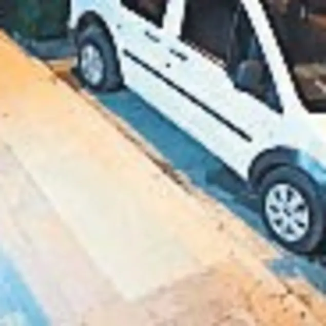 Tornavidalı hırsız