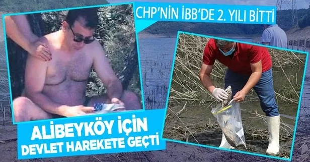 İstanbul İl Tarım ve Orman Müdürlüğü, Alibeyköy Barajı’nda kıyıya vuran balıklardan ve sudan numune aldı
