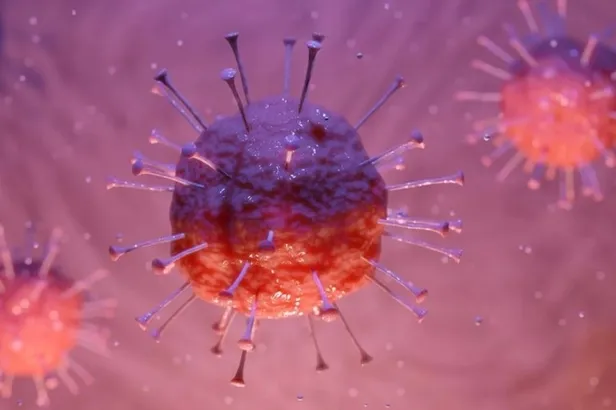 Mutasyonlu virüs hangi illerde var? Türkiye'de kaç kişide var? Nerelerde görüldü?-5