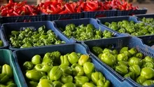 Hal ve Marketlerde Yeni Dönem Başlıyor: Uymayana Milyonlarca Lira Ceza