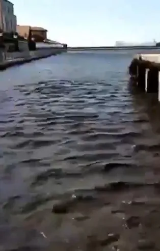 CHP İzmir'in geleceğini zehirliyor! Tunç Soyer yönetimi tüm ekosistemi yok edecek